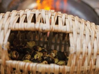 Scopri di più sull'articolo Con Ale a mangiare castagne