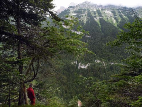 Scopri di più sull'articolo Parole nel bosco: nasce il Parco letterario Dolomiti di Brenta e Cavedago