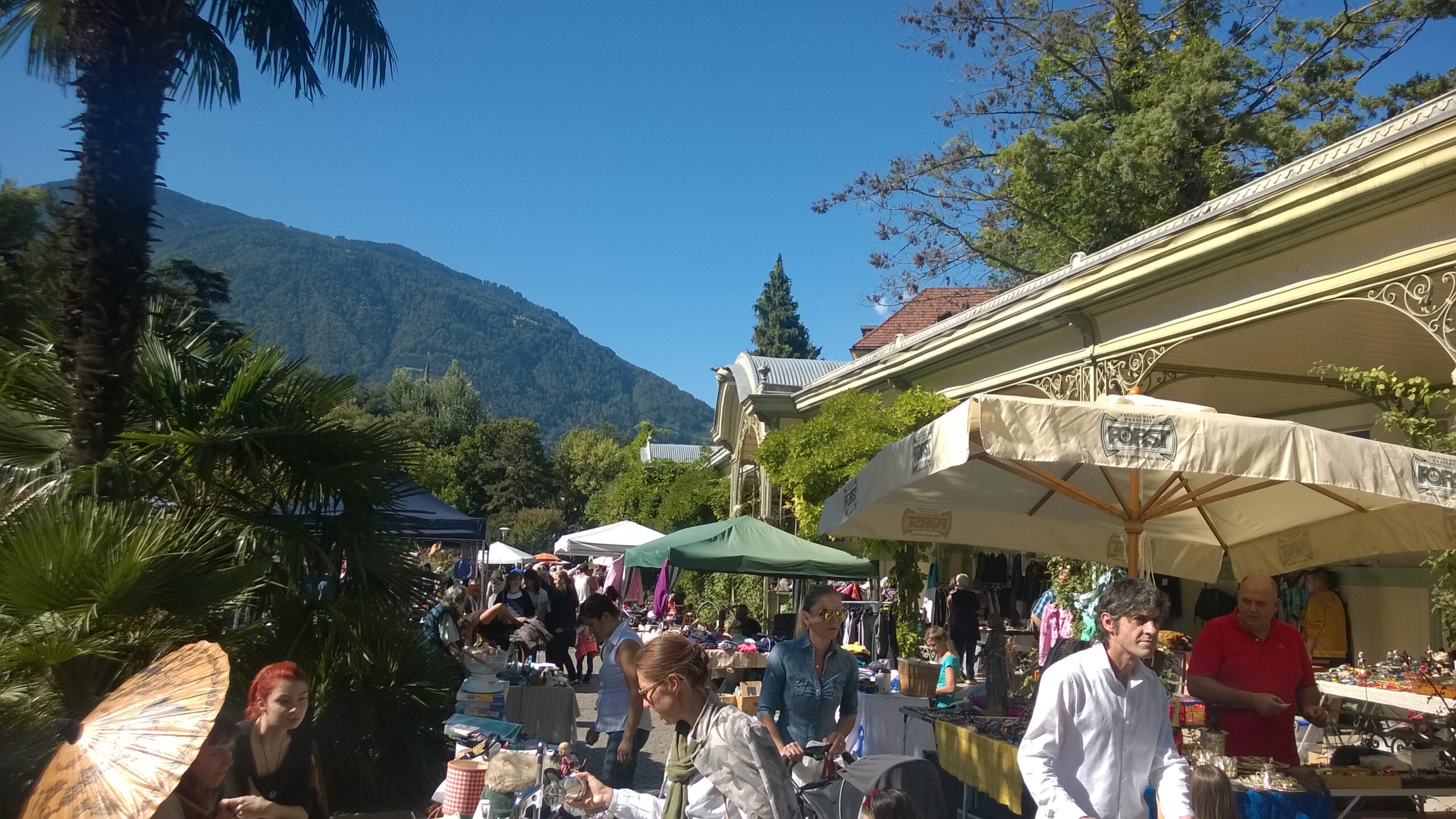 Scopri di più sull'articolo Non solo bagattelle al mercatino delle pulci di Merano