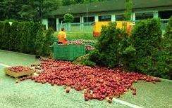 Mehr über den Artikel erfahren Quintali di mele rovesciati per la strada a Prato Isarco