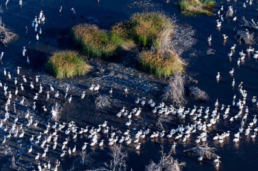 Scopri di più sull'articolo “Effetto Clima, il volto di paesaggi e natura che cambia”