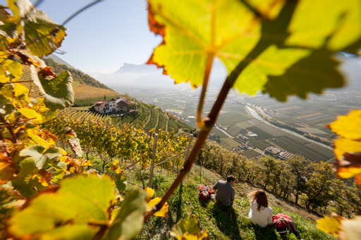 Mehr über den Artikel erfahren Natura splendida, ottimo cibo, accoglienza calorosa e relax totale