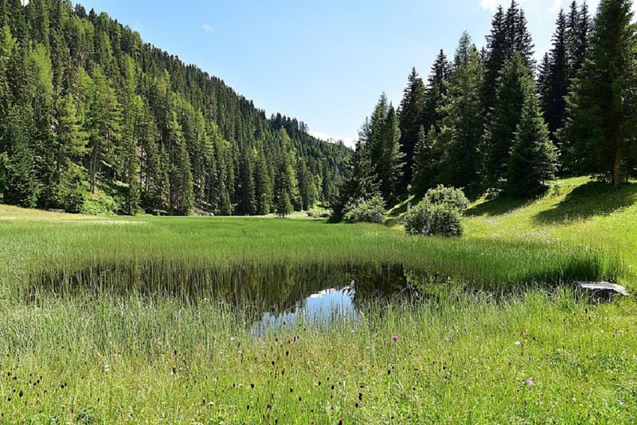 Mehr über den Artikel erfahren Vielfältige Naturschutzförderungen in Nordtirol