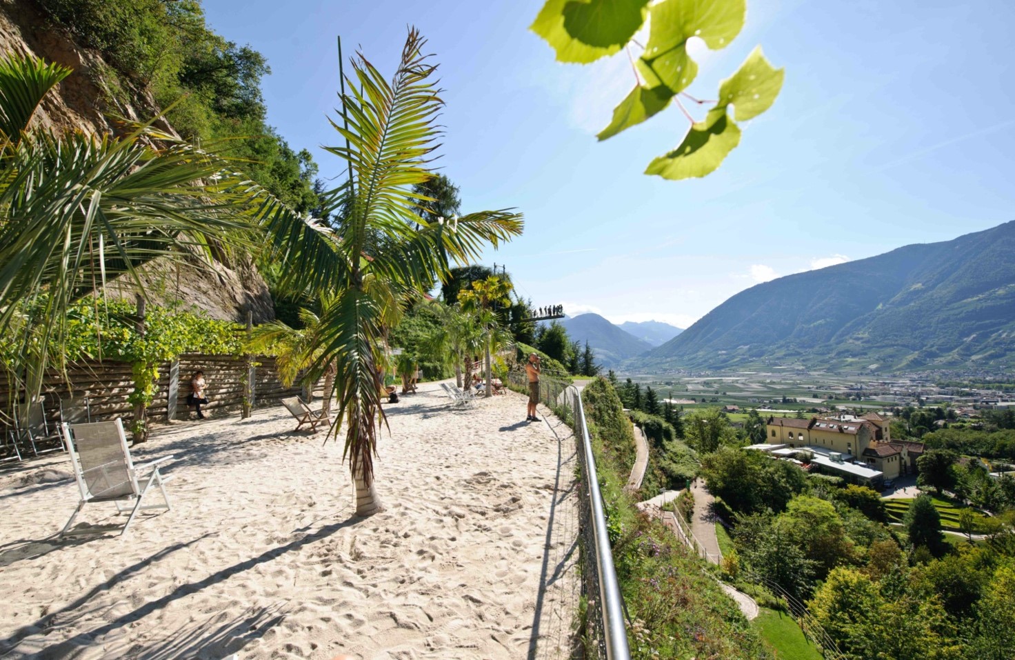 Scopri di più sull'articolo Merano. Mare di fiori e spiaggia di palm, a Trauttmansdorff è come essere in vacanza