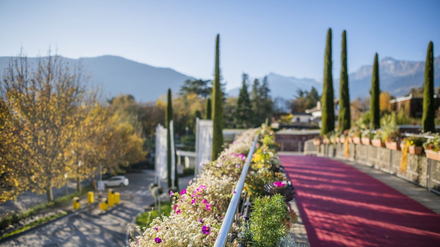 Mehr über den Artikel erfahren Merano, Giardini Trauttmansdorff chiude il 2023 con un’affluenza straordinaria