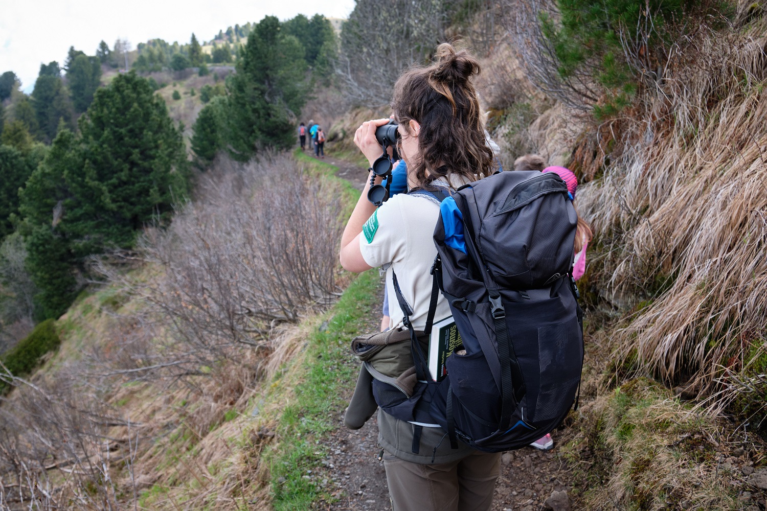 Scopri di più sull'articolo Parchi naturali dell’Alto Adige, cercansi “Ranger” per l’estate