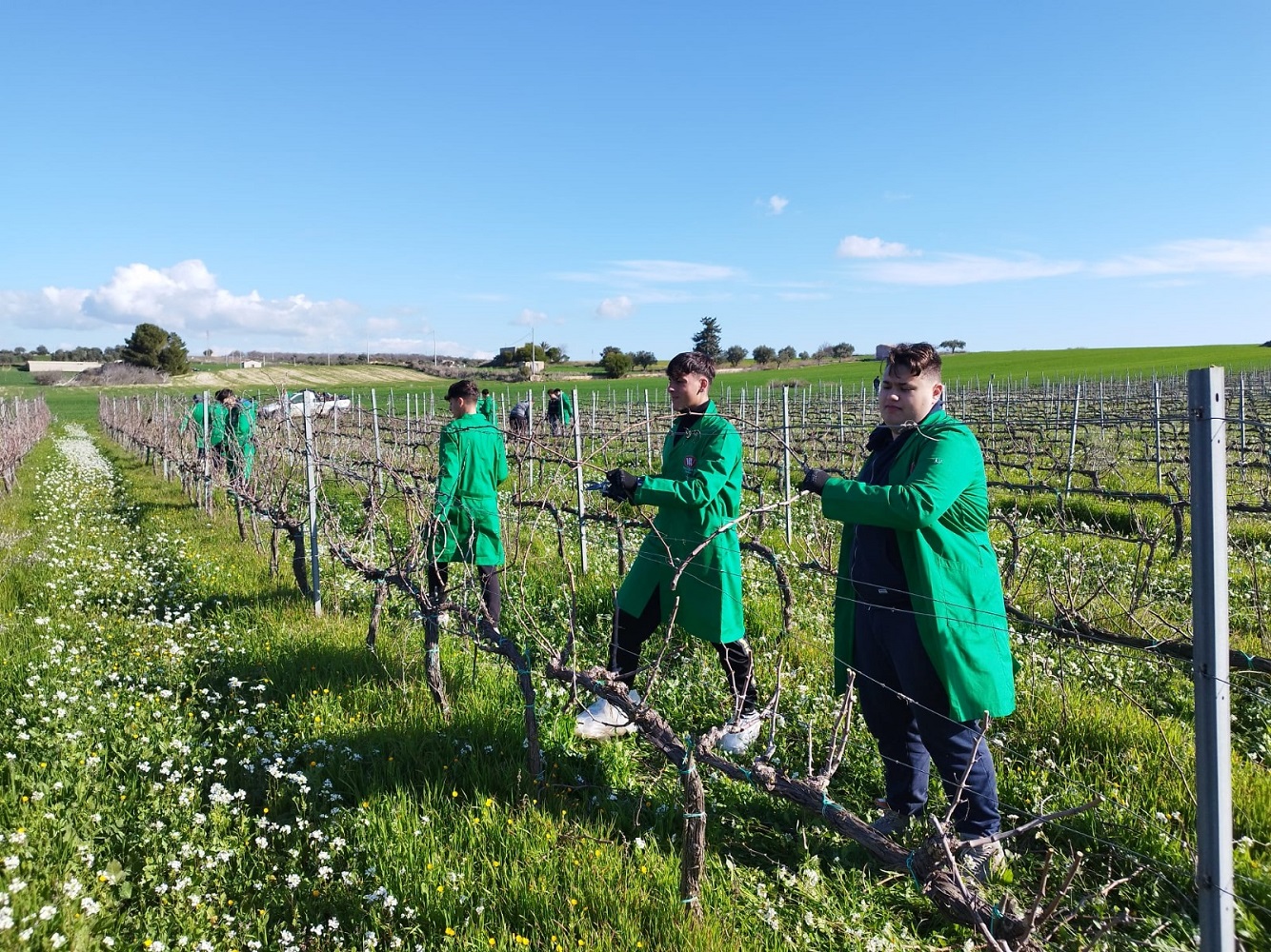 Scopri di più sull'articolo Vino Connect Sicilia, dai banchi alle vigne, il futuro della filiera passa dalle nuove generazioni