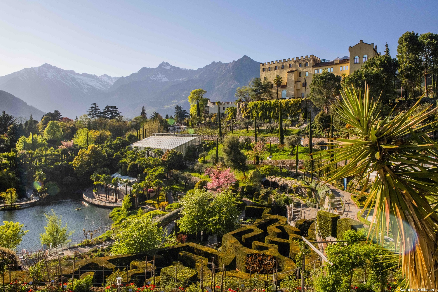 Mehr über den Artikel erfahren La nuova stagione dei Giardini di Castel Trauttmansdorff in compagnia delle succulente