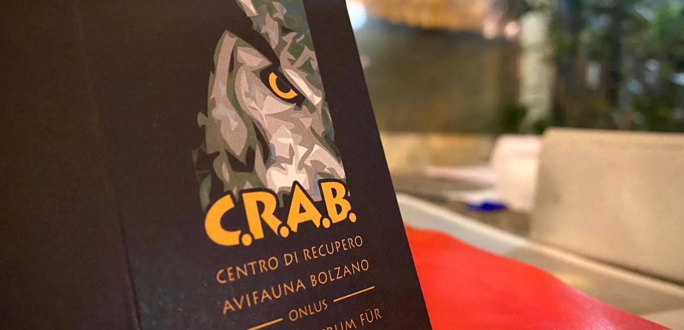 Mehr über den Artikel erfahren CRAB, progetto esecutivo del nuovo centro recupero selvatici