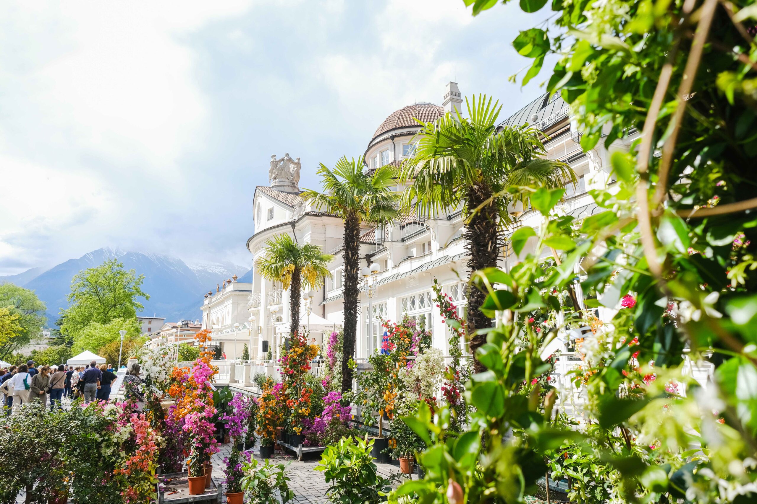 Scopri di più sull'articolo Merano Flower Festival 2024, un tripudio di fiori e piante