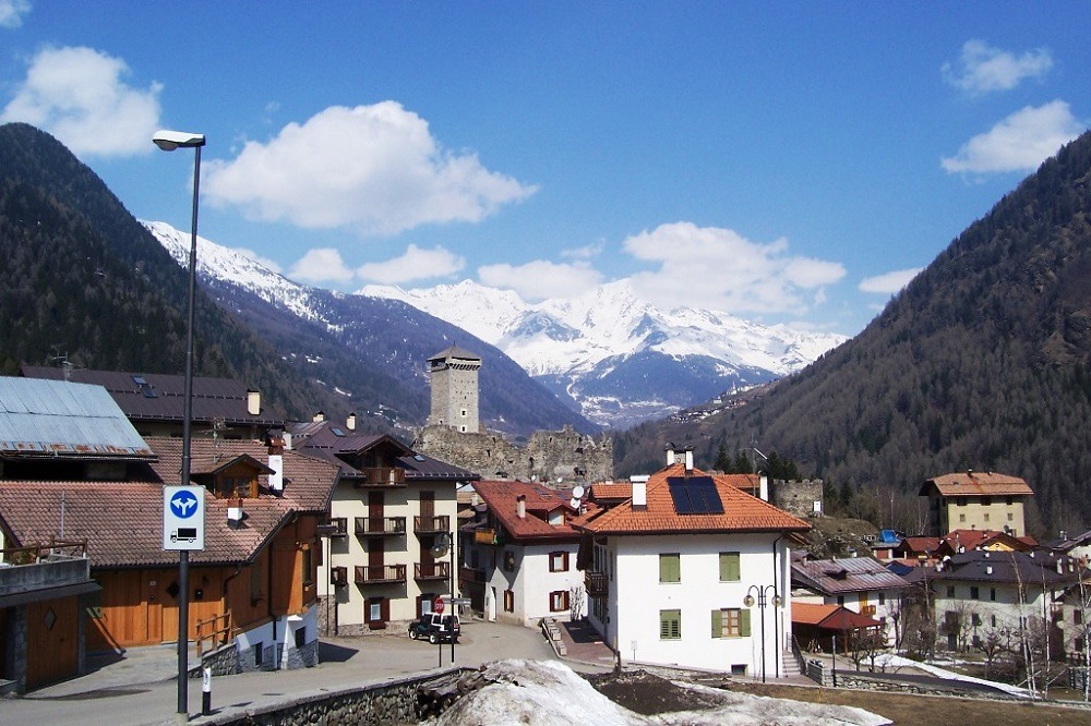 Mehr über den Artikel erfahren L’orso ama l’alta Val di Sole, in Trentino