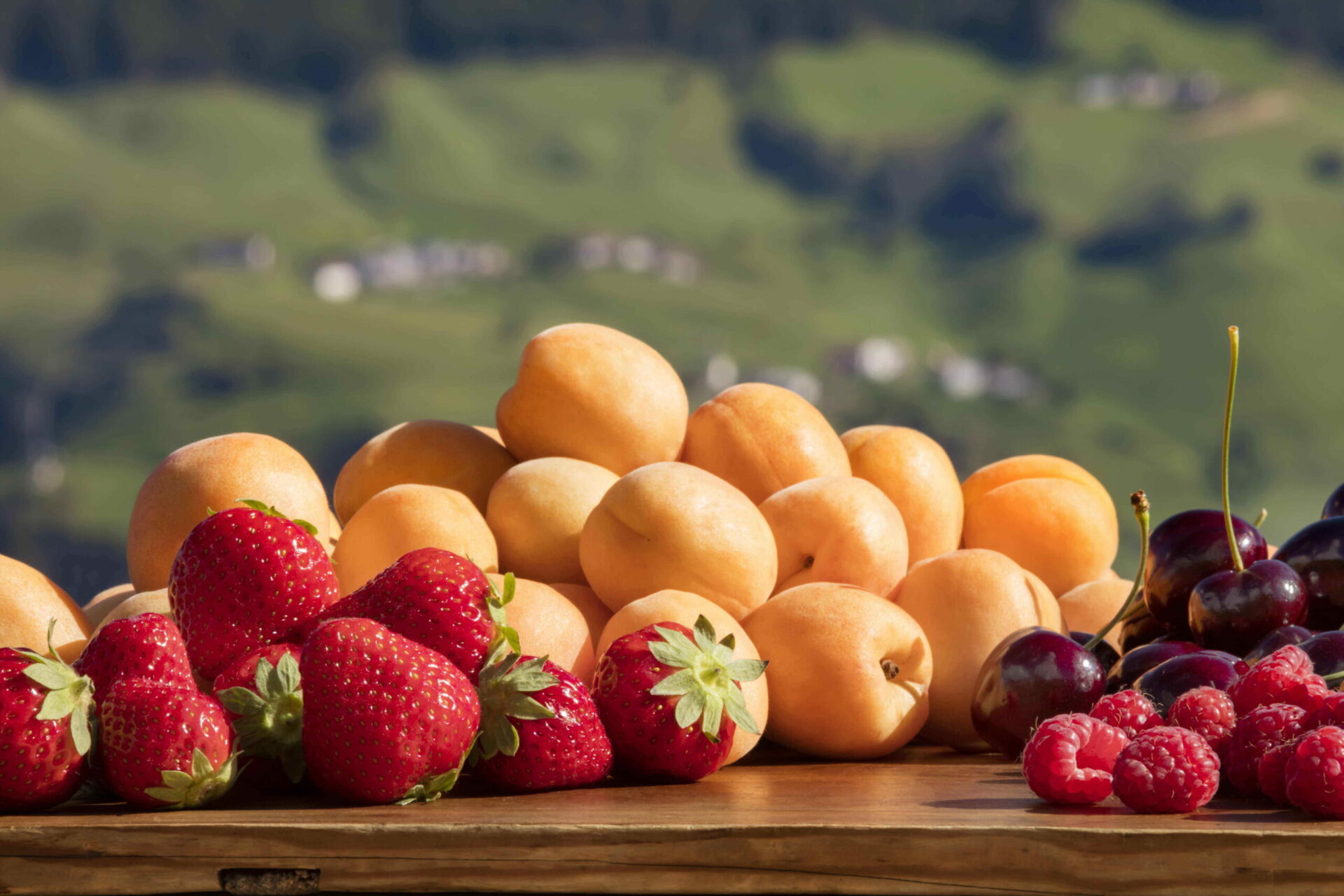 Mehr über den Artikel erfahren Partito il raccolto di piccoli frutti e frutta a nocciolo