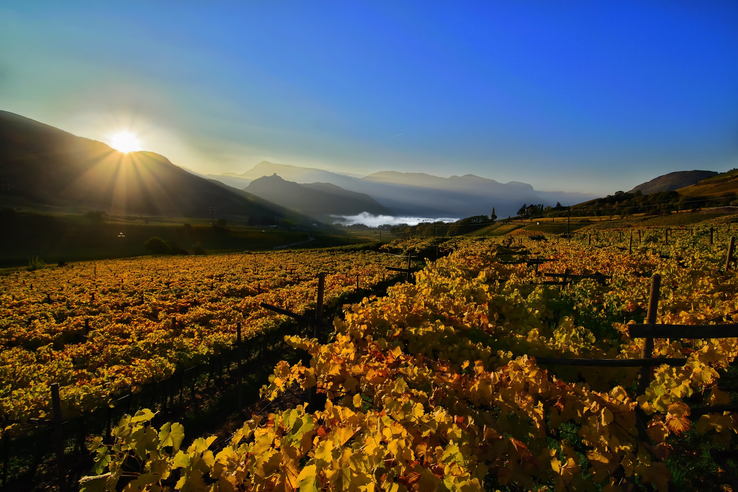 Scopri di più sull'articolo Vivere la Strada del Vino in autunno