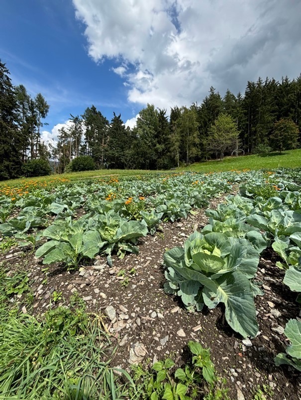 Mehr über den Artikel erfahren Wege zur nachhaltigen Landwirtschaft