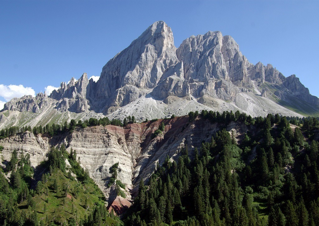 Mehr über den Artikel erfahren Giornata dei fossili