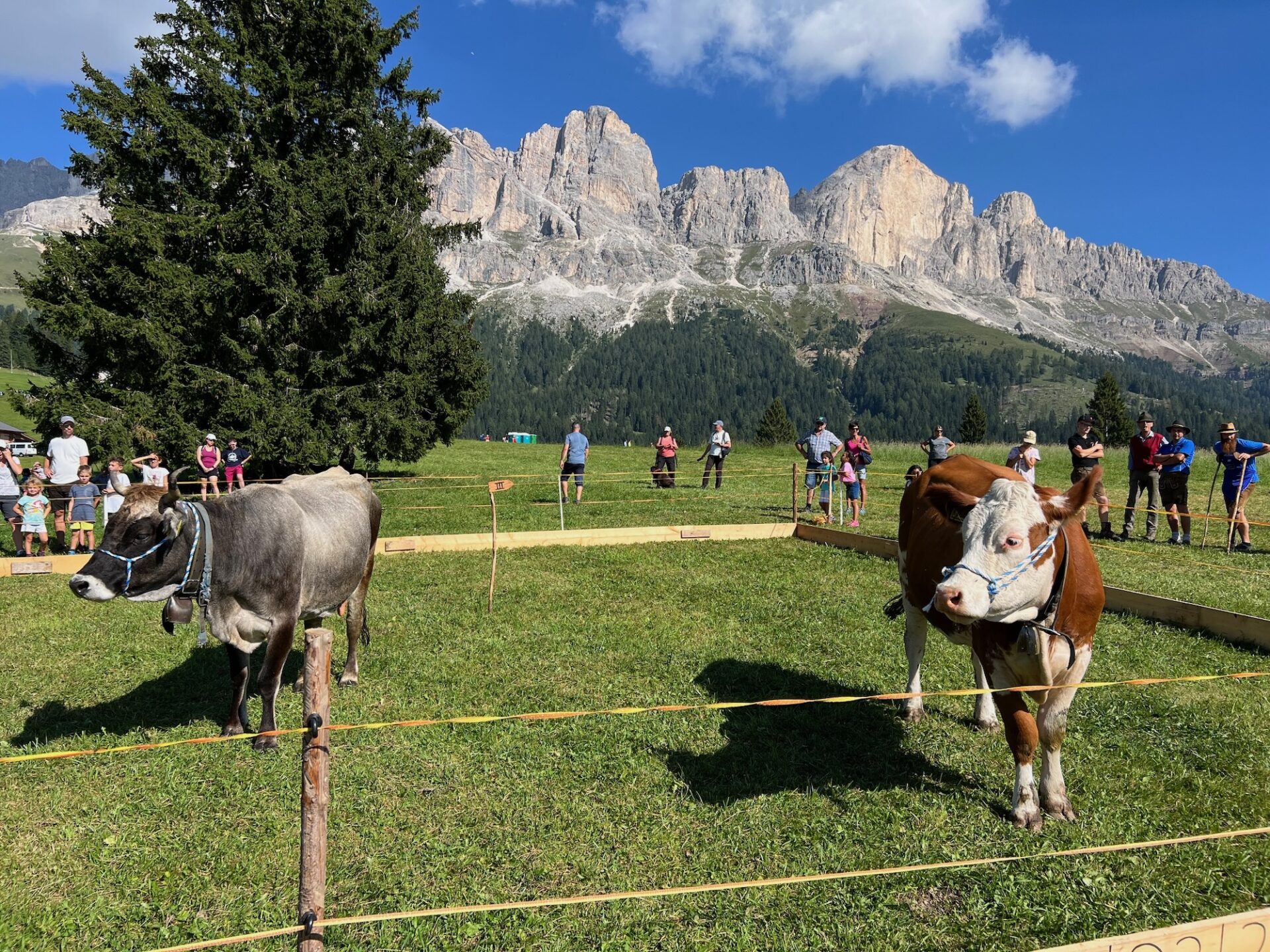 Scopri di più sull'articolo La festa delle malghe “König Laurin” chiama