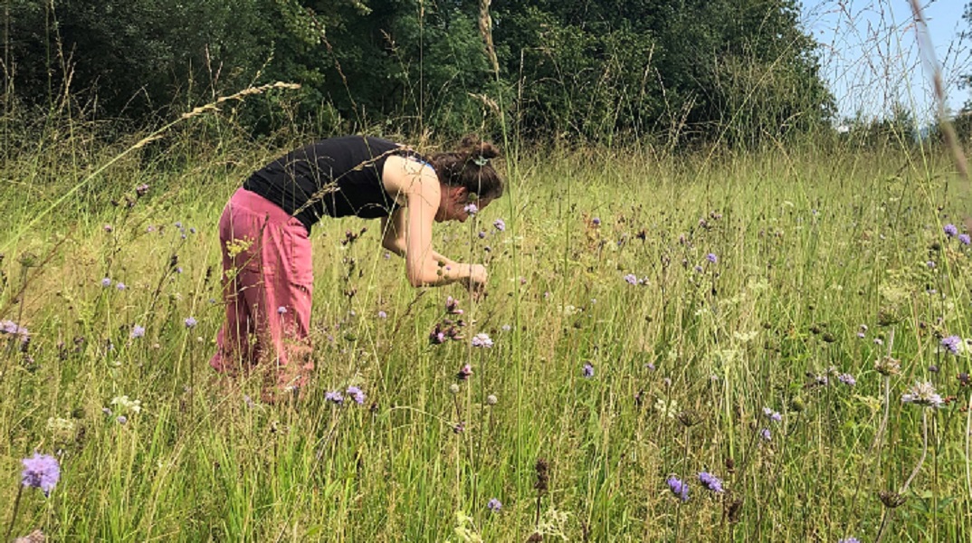 Mehr über den Artikel erfahren Neues Projekt zu Artenschutz in Botanischen Gärten