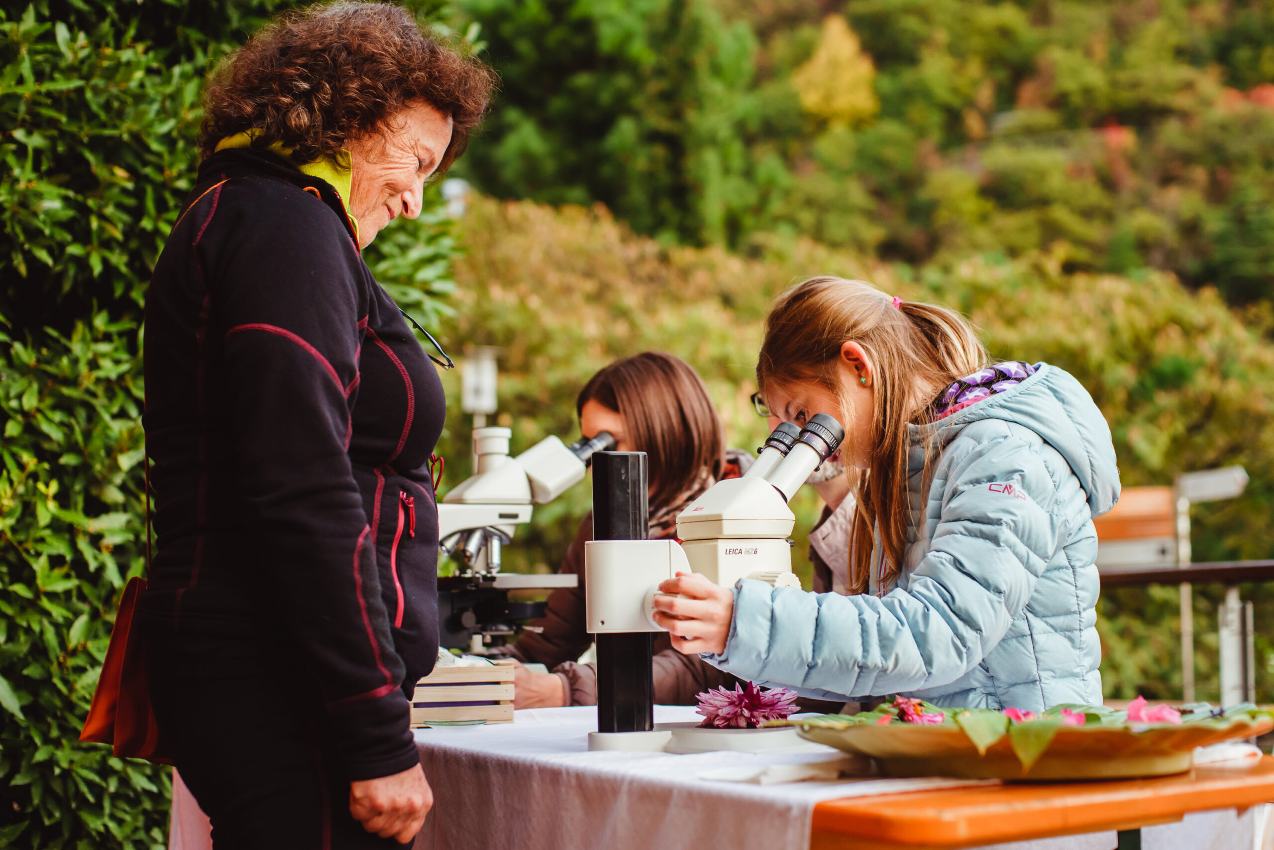 Mehr über den Artikel erfahren “Giornata per le famiglie in autunno” ai Giardini di Castel Trauttmansdorff